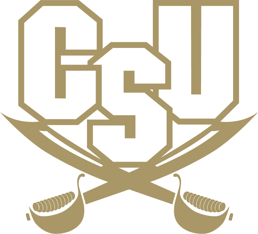 CSU Buccaneers 2004-2015 Alternate Logo iron on transfers for T-shirts